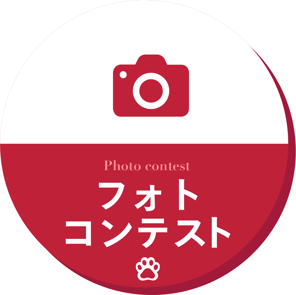 フォトコンテスト