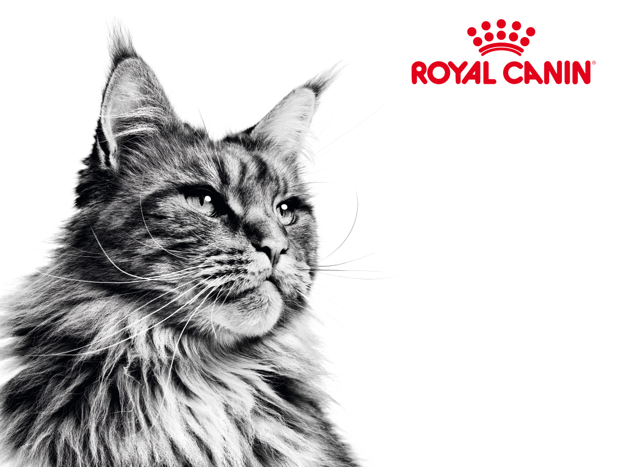 ロイヤルカナンコーナー