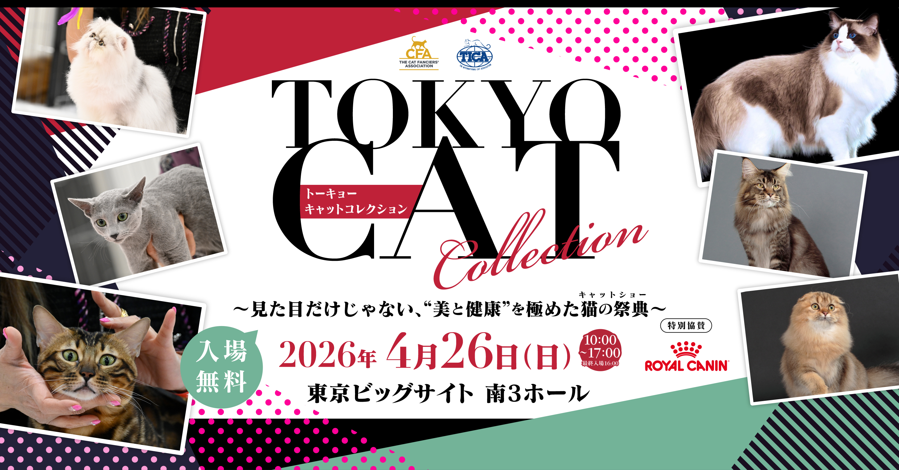 TOKYO CAT COLLECTION 2026